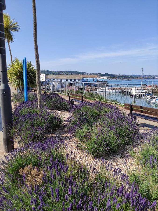Cleve Court Hotel Paignton Exteriör bild